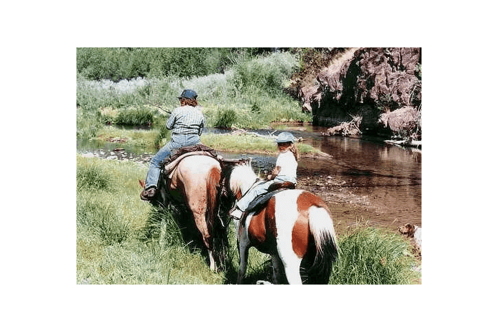 Two people riding horses in a field near water.