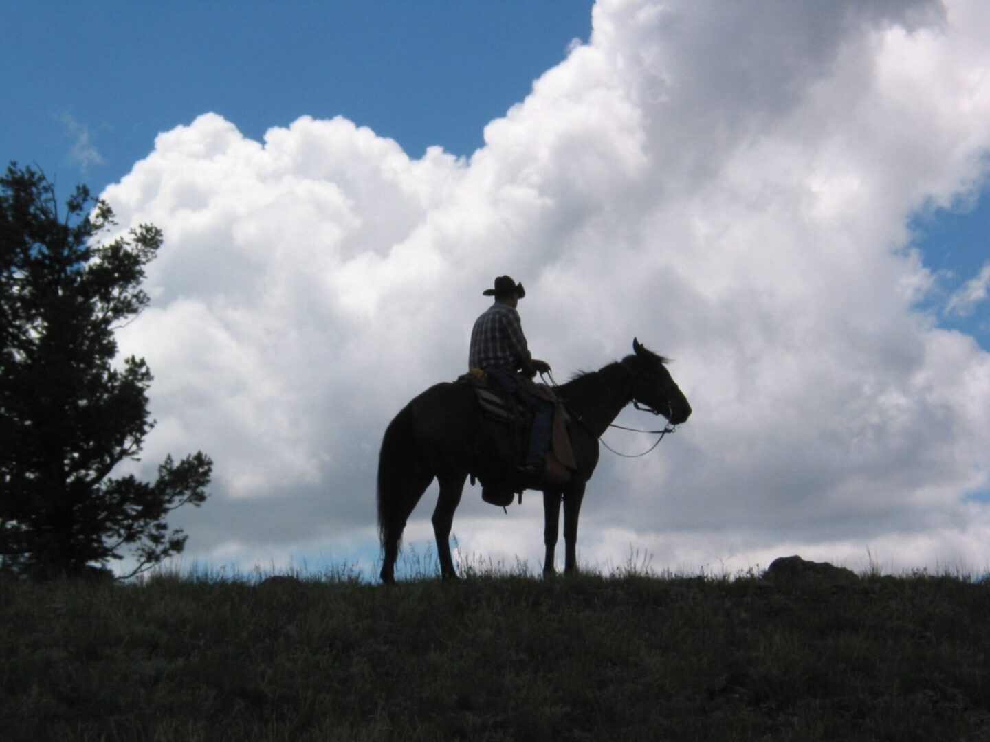A man on horseback in the middle of a field.